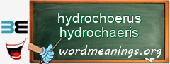 WordMeaning blackboard for hydrochoerus hydrochaeris